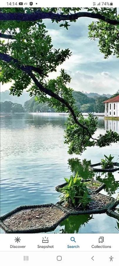 Charlton Kandy City Rest location